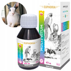 BIOFEED Euphoria Multi-Vitum Multiwitamina dla gryzoni i królików 30ml