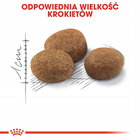 ROYAL CANIN Sterilised +7 karma sucha dla kotów dorosłych 3,5 kg