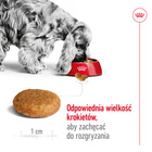 ROYAL CANIN Medium Adult karma sucha dla psów dorosłych, ras średnich 4 kg