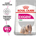 ROYAL CANIN CCN Mini Exigent karma sucha dla psów dorosłych 3 kg
