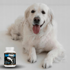 GAME DOG AniFlexi Fit V2 suplement na stawy dla psa 100 tabletek