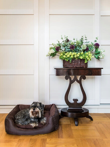 GRANDORF DOG zdrowa karma mokra dla psa mix smaków 8 x 400g Bezzbożowa