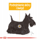 ROYAL CANIN CCN Mini Dermacomfort karma sucha dla psów dorosłych 8 kg