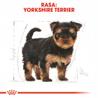 ROYAL CANIN Yorkshire Terrier Puppy karma sucha dla szczeniąt 7,5 kg