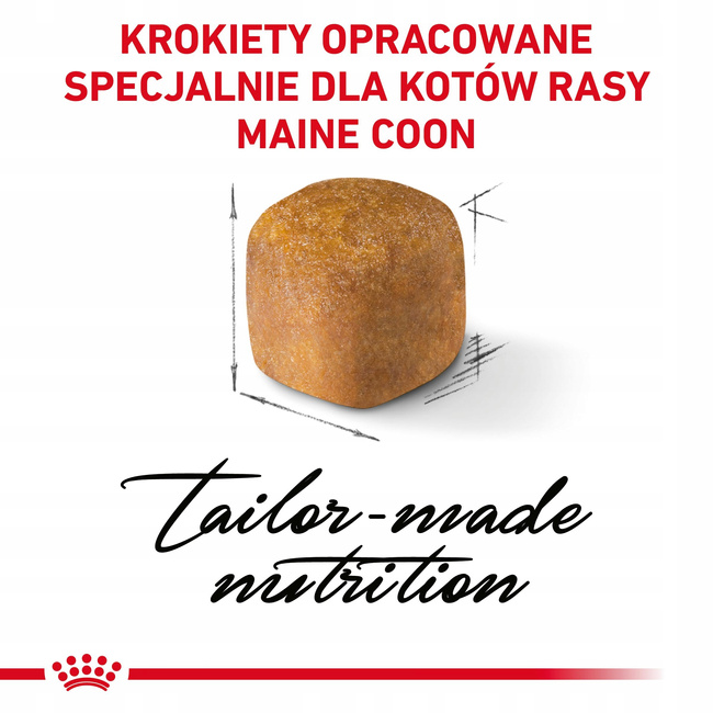 ROYAL CANIN Maine Coon Kitten karma sucha dla kociąt, do 15 miesiąca 0,4 kg