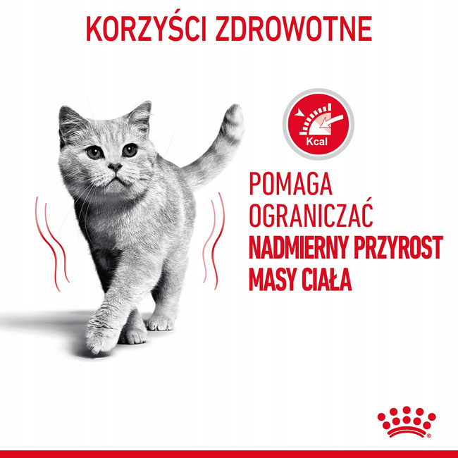 ROYAL CANIN Light Weight Jelly karma mokra w galaretce dla kota 24 x 85g