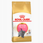ROYAL CANIN British Shorthair Kitten karma sucha dla kociąt 10 kg
