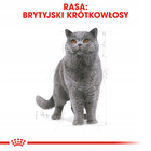 ROYAL CANIN British Shorthair karma sucha dla kotów dorosłych 0,4kg