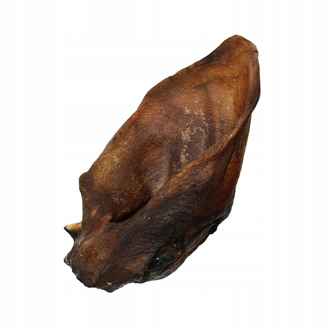 Przysmak dla psa Ucho Dzika bez włosa 2 szt GACZOO naturalny gryzak