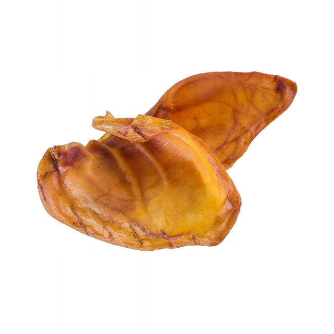 GACZOO 100% Naturalny przysmak dla psa Ucho Wieprzowe Duże XL 5 sztuk smakołyk