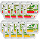 RAW PALEO PATE Mini Puppy Mix Smaków karma dla szczeniąt mokra 18 x 150g