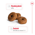 ROYAL CANIN Medium Ageing 10 + karma sucha dla psów dojrzałych 15 kg