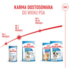 ROYAL CANIN Mini Starter Mother & Babydog karma sucha 4 kg