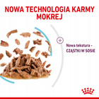 ROYAL CANIN Sensory Feel karma mokra kawałki dla kotów dorosłych 12 x 85 g