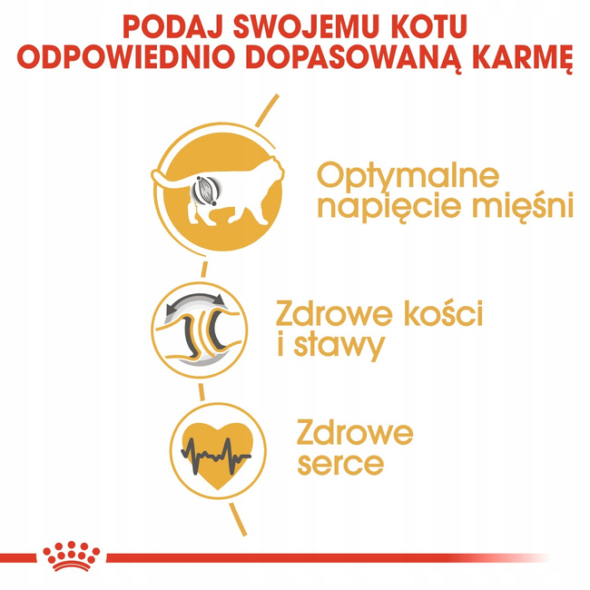 ROYAL CANIN British Shorthair karma sucha dla kotów dorosłych 2kg