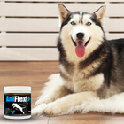 GAME DOG AniFlexi Fit V2 suplement na stawy dla psa 300g