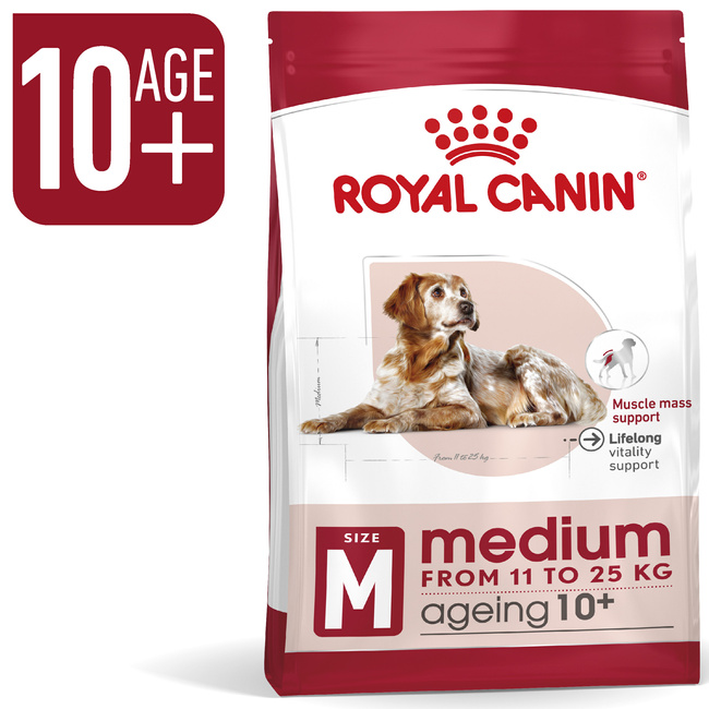 ROYAL CANIN Medium Ageing 10 + karma sucha dla psów dojrzałych 15 kg