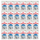 ROYAL CANIN Indoor Sterilised karma mokra w galaretce dla kota 24 x 85g