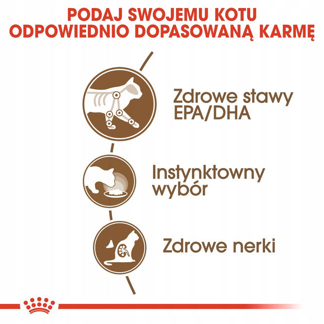 ROYAL CANIN Ageing +12 karma mokra dla kotów dojrzałych Jelly 12 x 85 g