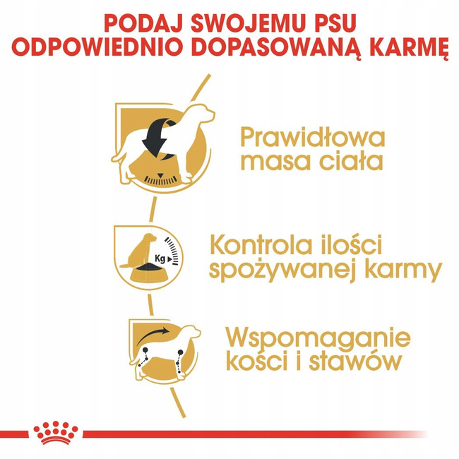 ROYAL CANIN Beagle Adult karma sucha dla psów dorosłych rasy beagle 12 kg