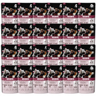 PET REPUBLIC Mini Fileciki karma mokra dla psa Wołowina 24 x 100g Bezzbożowa