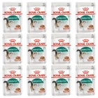 ROYAL CANIN Instinctive +7 karma mokra w sosie dla kotów starszych 12 x 85g