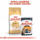 ROYAL CANIN Sphynx Adult karma sucha dla kotów dorosłych rasy sfinks 2 kg