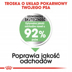 ROYAL CANIN CCN Mini Digestive Care karma sucha dla psów dorosłych 1 kg