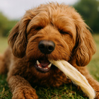 GACZOO 100% Naturalny przysmak dla psa Ucho Królicze z futrem 20 szt gryzak