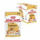 ROYAL CANIN Pomeranian Adult karma mokra pasztet 12 x 85 g