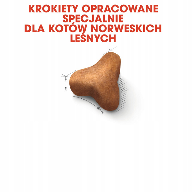 ROYAL CANIN Norvegian Forest Cat Adult karma sucha dla kotów dorosłych 2 kg