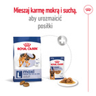 ROYAL CANIN Maxi Adult karma sucha dla psów dorosłych do 5 roku życia 10 kg