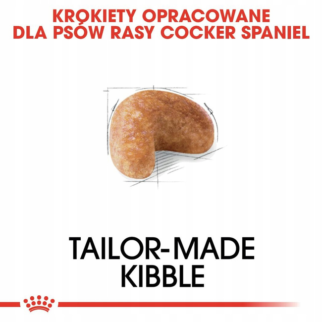 ROYAL CANIN Cocker Spaniel Adult karma sucha dla psów dorosłych 12 kg