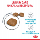ROYAL CANIN Feline Care Nutrition Relaunch - Urinary Care - Dry 10 kg