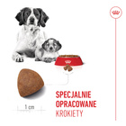 ROYAL CANIN Medium Starter Mother&Babydog karma sucha dla suk 4 kg