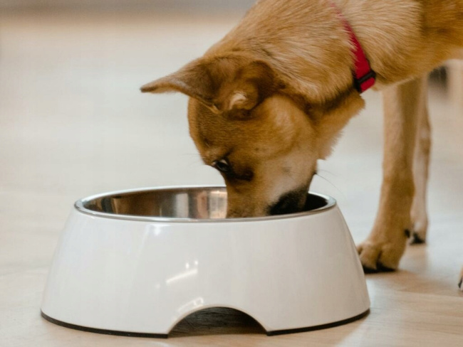 Karma mokra Baton TUF TUF Kiełbasa dla psa Wieprzowina 10 x 900g