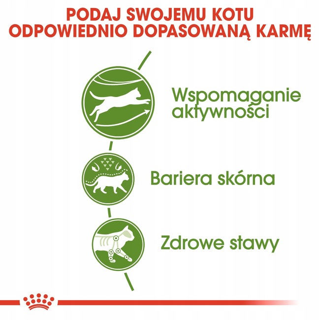 ROYAL CANIN Outdoor karma sucha dla kotów dorosłych 2 kg