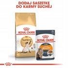 ROYAL CANIN Siamese Adult karma sucha dla kotów dorosłych 2 kg