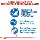 ROYAL CANIN Indoor 27 karma sucha dla kotów dorosłych 2 kg