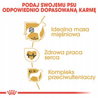 ROYAL CANIN Boxer Adult karma sucha dla psów dorosłych rasy bokser 12 kg
