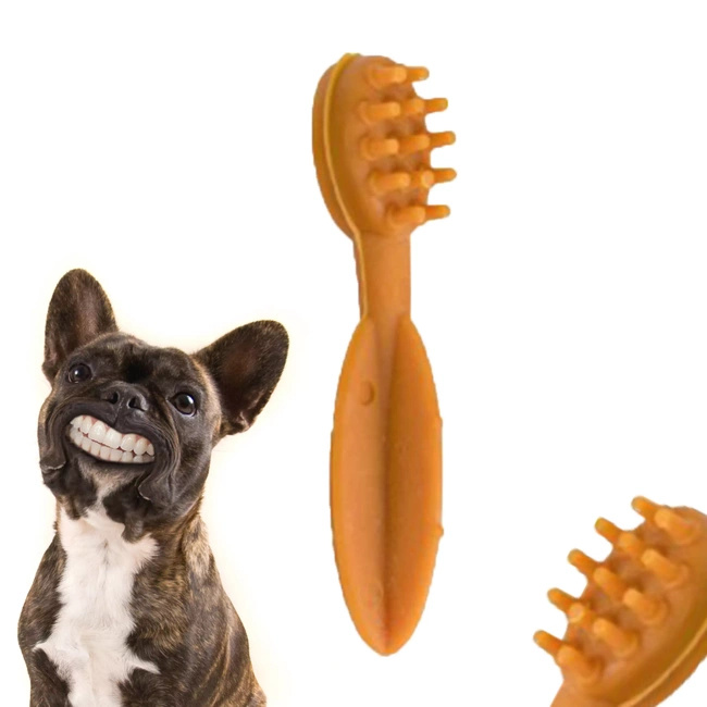 HAU&MIAU Przysmak dla psa z propolisem do zębów pomarańczowa x 1 szt