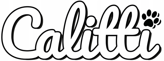 Silikonowy żwirek dla kota Calitti 3,8l Crystals