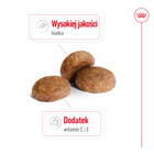 ROYAL CANIN Medium Adult 7+ karma sucha dla psów dojrzałych 15 kg