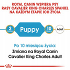 ROYAL CANIN Cavalier King Charles Spaniel Puppy karma sucha 1,5 kg