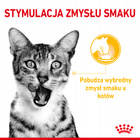 ROYAL CANIN Sensory Smell, Taste, Feel karma mokra dla kotów 3 x 4 x 85 g