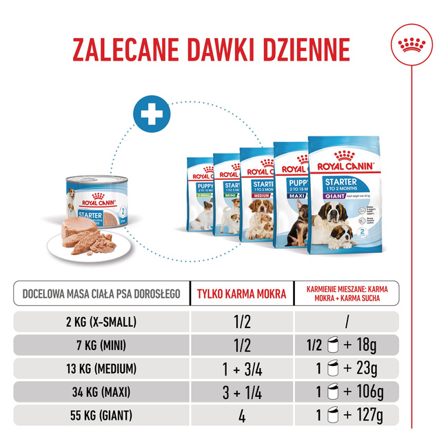 ROYAL CANIN Starter Mother and Babydog Mousse - karma mokra 12 x 195 g