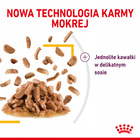 ROYAL CANIN Sensory Taste karma mokra kawałki dla kotów dorosłych 12 x 85 g