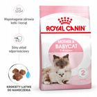 ROYAL CANIN Mother&Babycat karma sucha dla kotek w okresie ciąży 4 kg