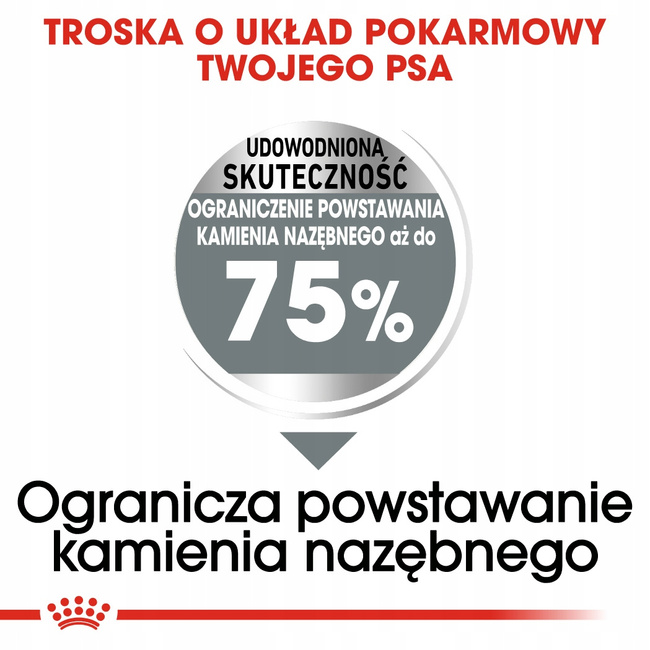 ROYAL CANIN CCN Maxi Dental Care karma sucha dla psów dorosłych 9 kg