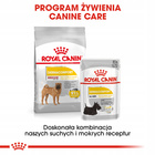 ROYAL CANIN CCN Medium Dermacomfort karma sucha dla psów dorosłych 12 kg
